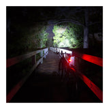 Lumintrail Rear Bike Light Bright Red LED Taillight 2 Light Modes for All Bikes Easy To Install